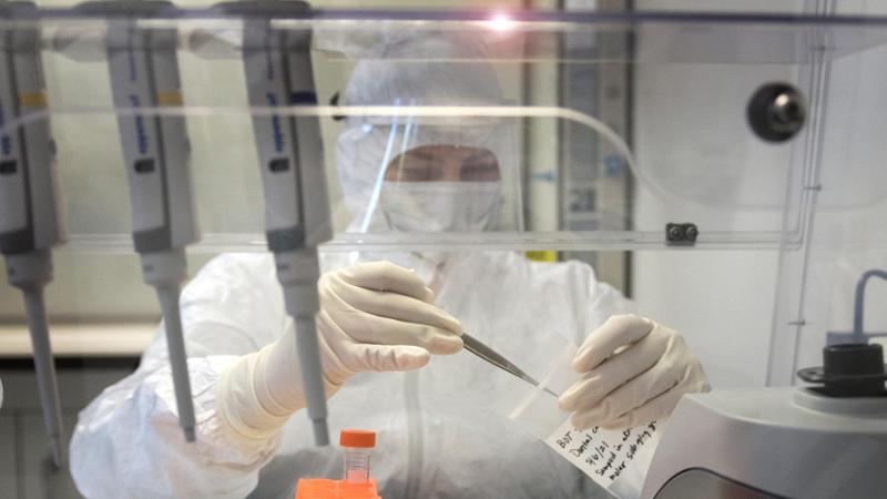 Siberia, 200 cittadini in osservazione: una tecnica di laboratorio morta contagiata di peste