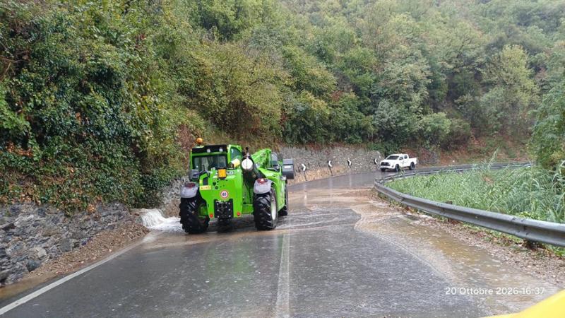 Maltempo sull'Italia: crolla un albero su un'auto, morto un militare di 46 anni a Jesolo. Allerta in 16 regioni