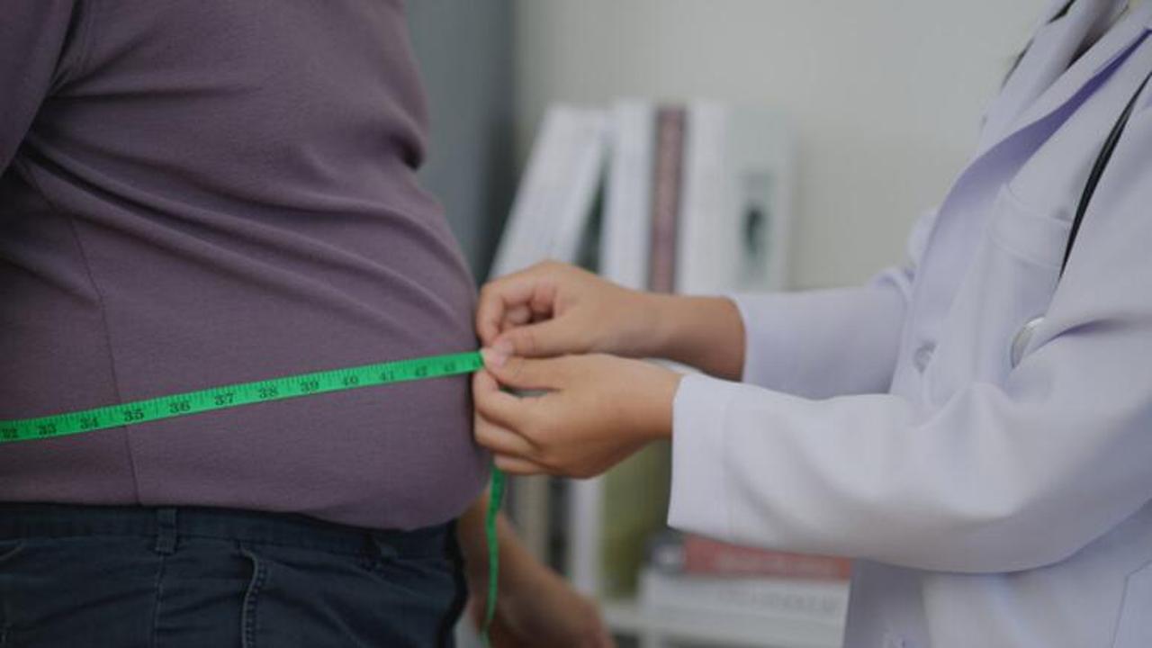 Il farmaco brucia il grasso, ma il grasso sa come vendicarsi 


nelle nostre cellule