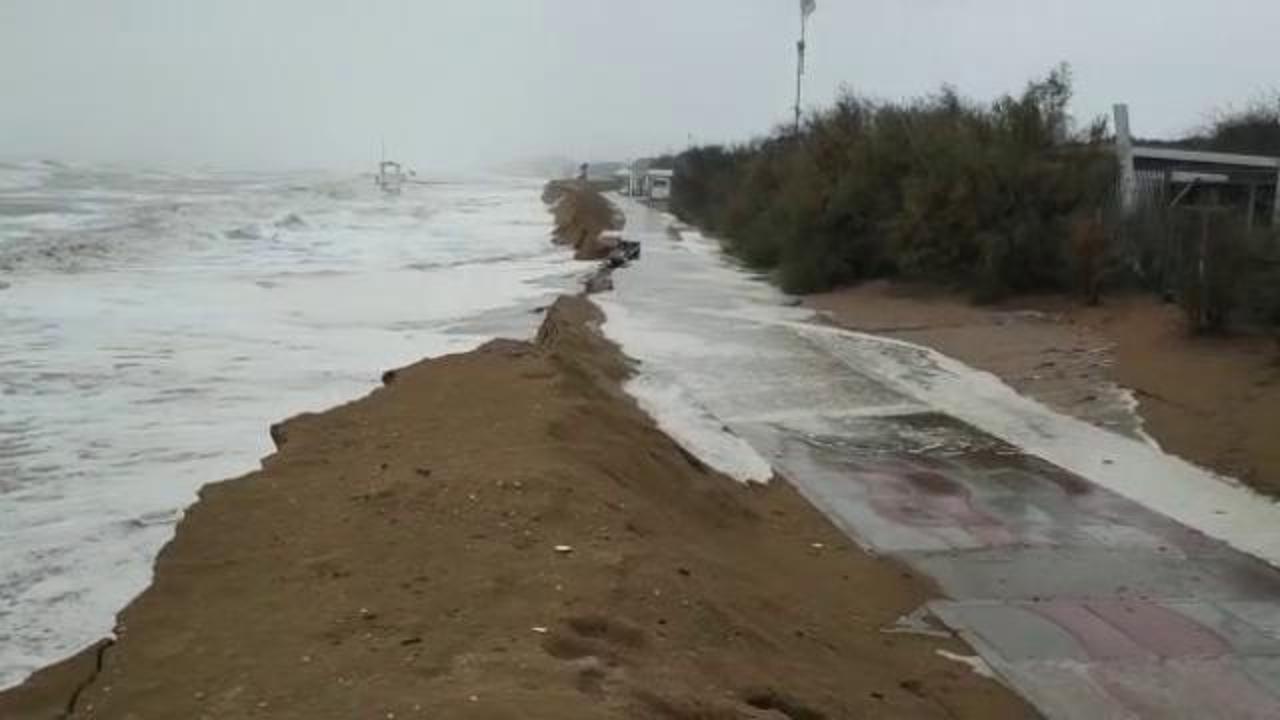 Jesolo La Mareggiata In Pineta Ha Superato La Duna E Demolito La 